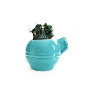 软件项目源码展示